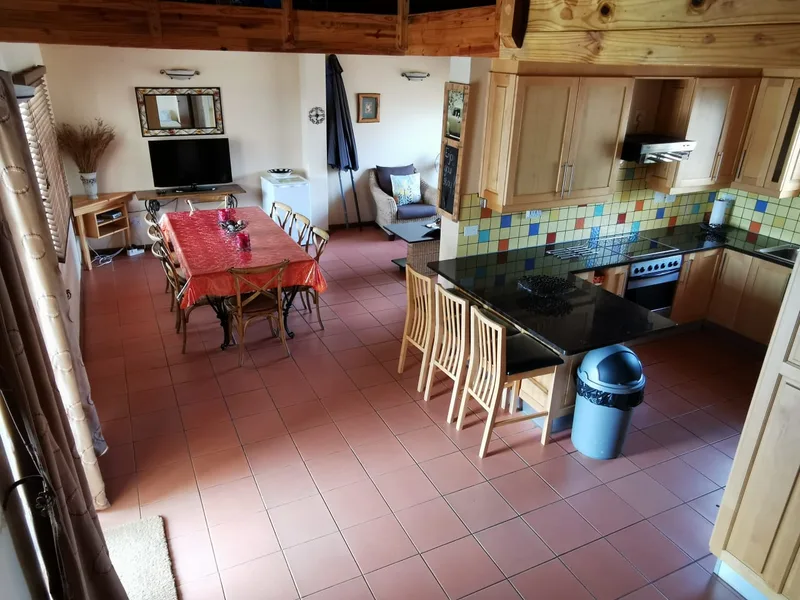 Open-plan living room and kitchen